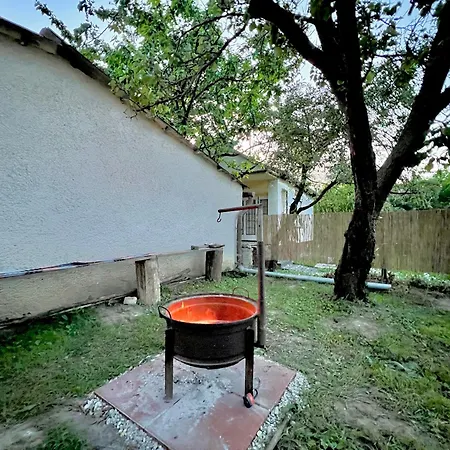 Dom wakacyjny Liget Fonyód